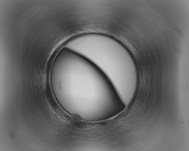 X0000111860488200907231134