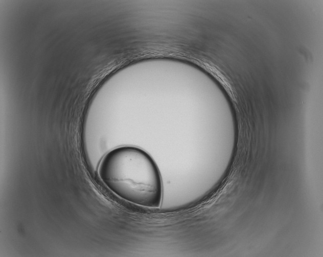X0000111860489200907231133