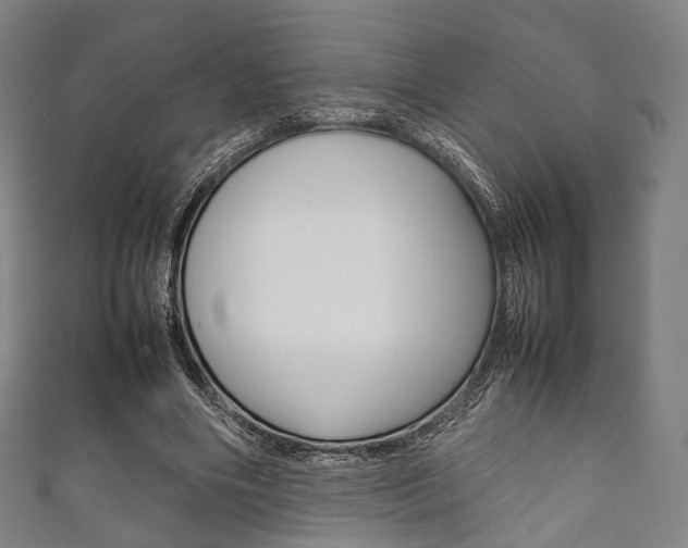 X0000111860490200907231133