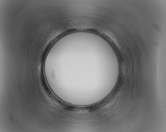 X0000111860491200907231133