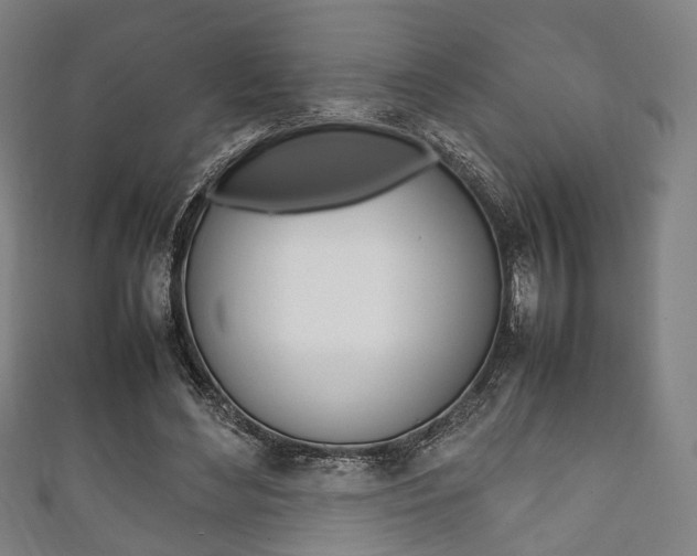 X0000111860492200907231133