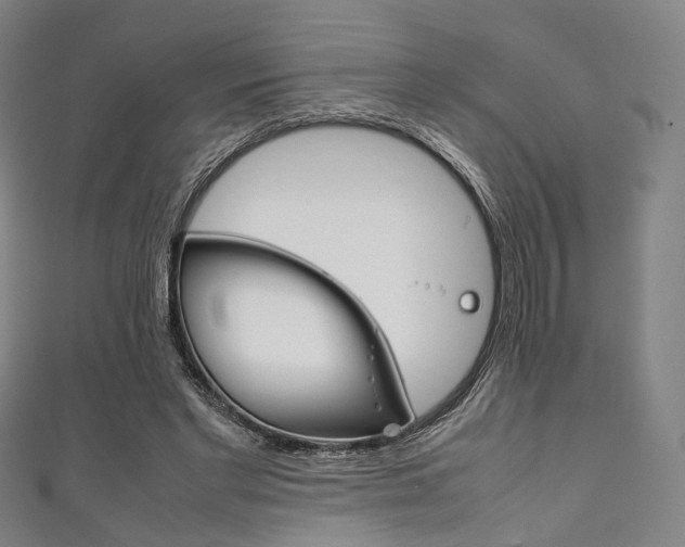 X0000111860493200907231133