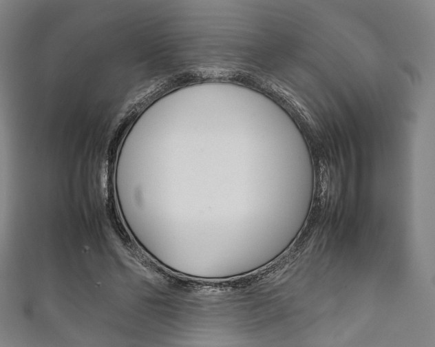 X0000111860494200907231133