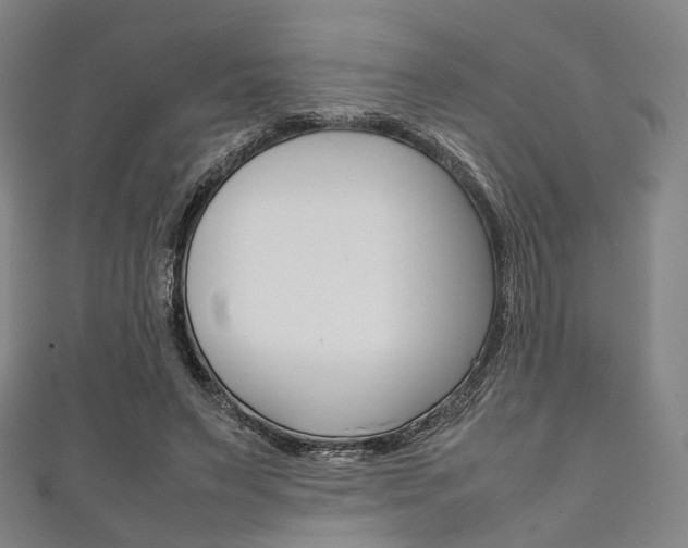 X0000111860495200907231133