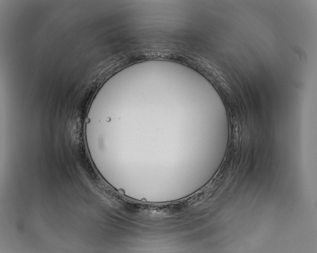 X0000111860498200907231133