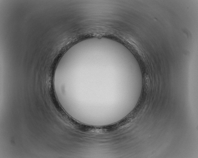 X0000111860499200907231133