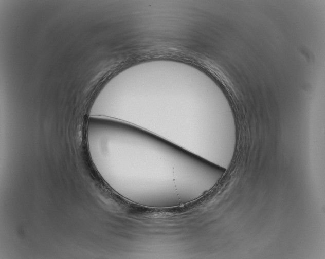 X0000111860501200907231133