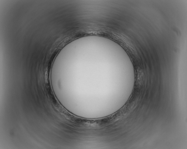 X0000111860502200907231133