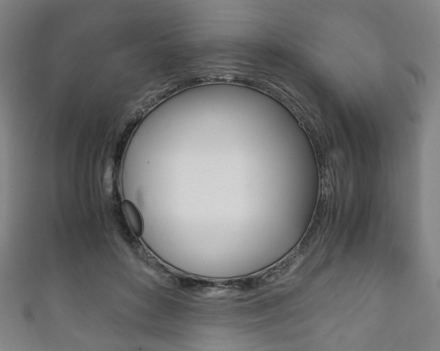X0000111860504200907231133
