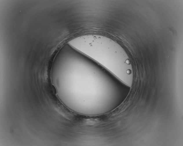 X0000111860508200907231133