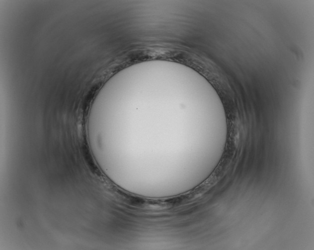 X0000111860510200907231133