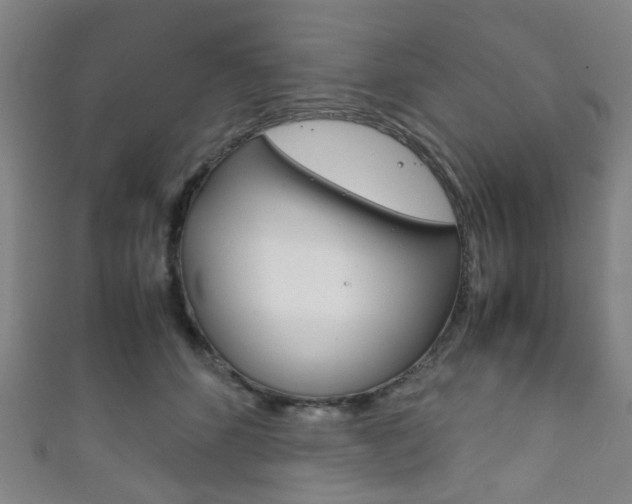 X0000111860512200907231133