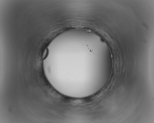 X0000111860513200907231133