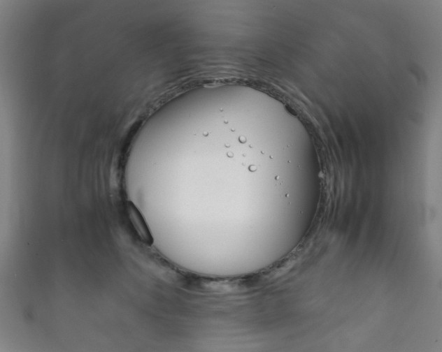 X0000111860516200907231133