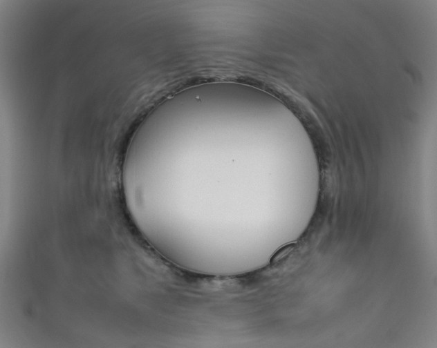 X0000111860517200907231133