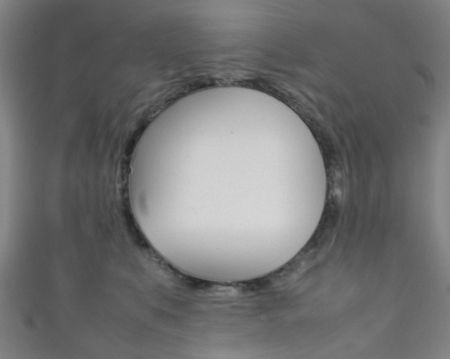 X0000111860519200907231133