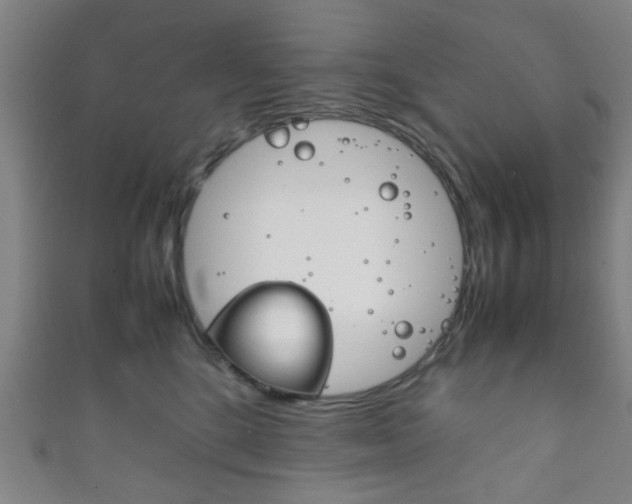 X0000111860520200907231133