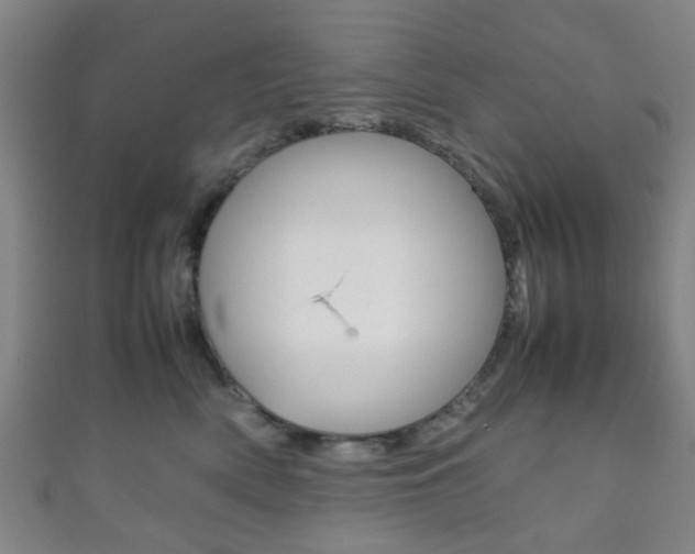 X0000111860522200907231133