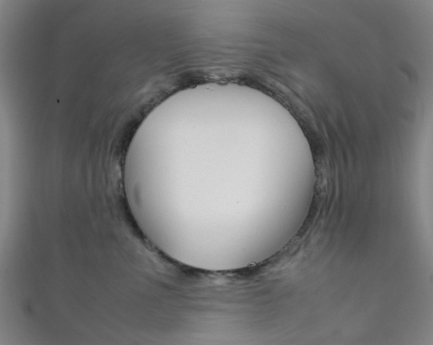 X0000111860523200907231133