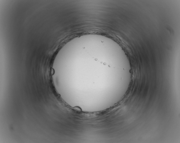 X0000111860524200907231133