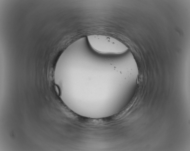 X0000111860525200907231133