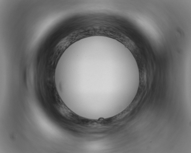 X0000111860526200907231133