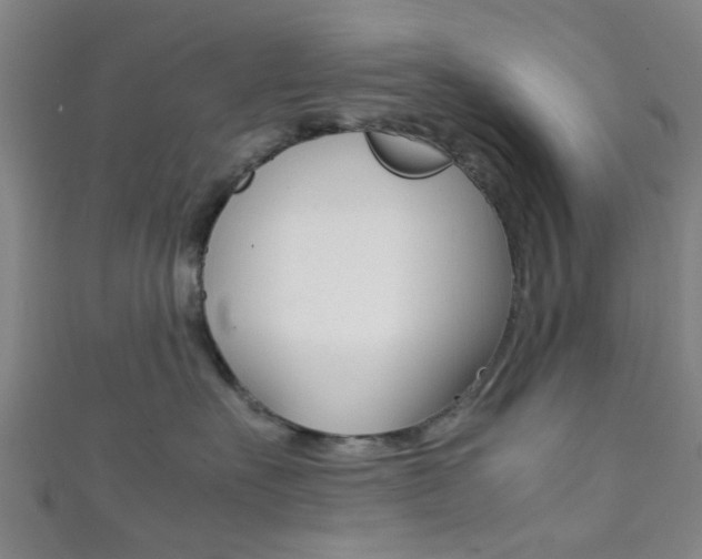 X0000111860527200907231133