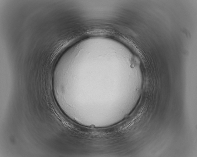 X0000111860529200907231132