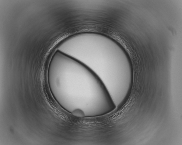 X0000111860531200907231132