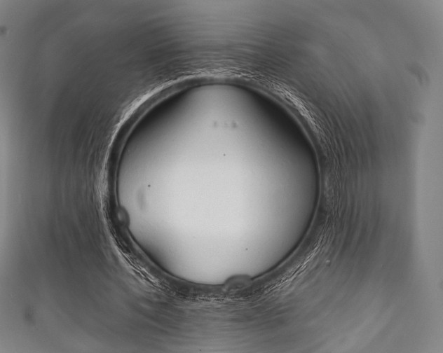 X0000111860532200907231132