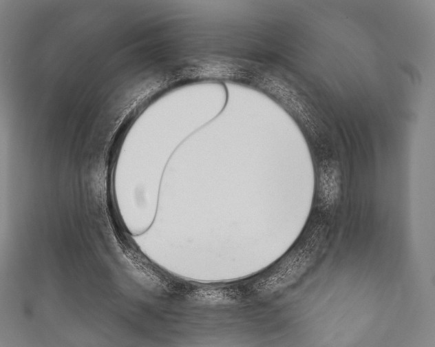 X0000111860534200907231132