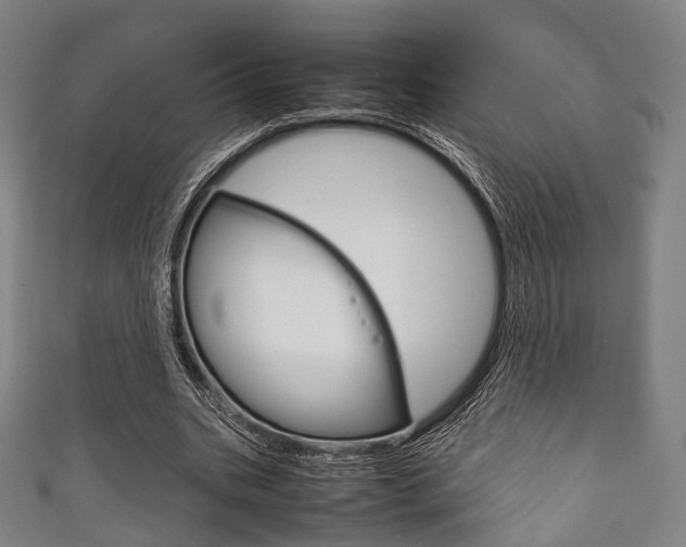 X0000111860535200907231132