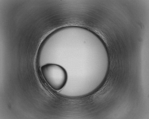 X0000111860536200907231132
