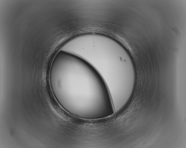 X0000111860538200907231132