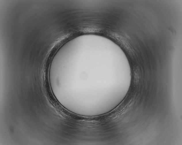 X0000111860539200907231133
