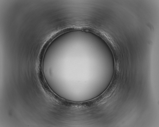 X0000111860540200907231133