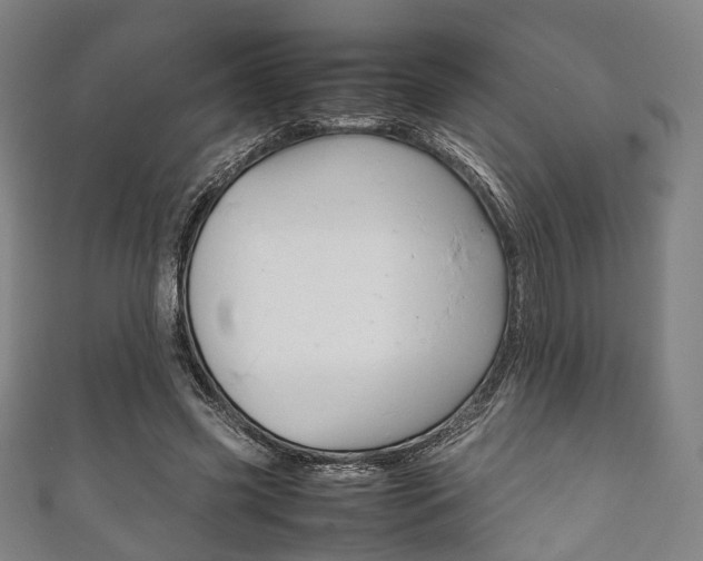 X0000111860541200907231133