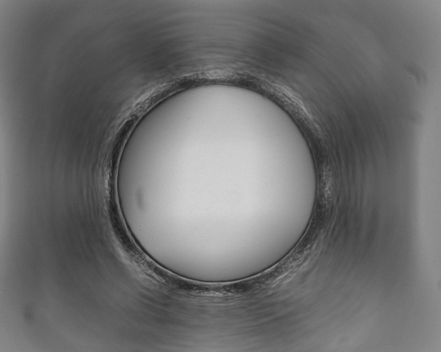 X0000111860542200907231133