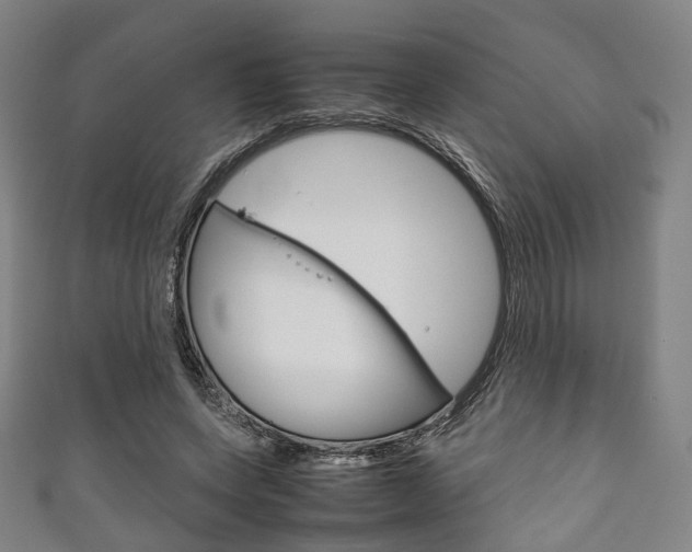 X0000111860543200907231133