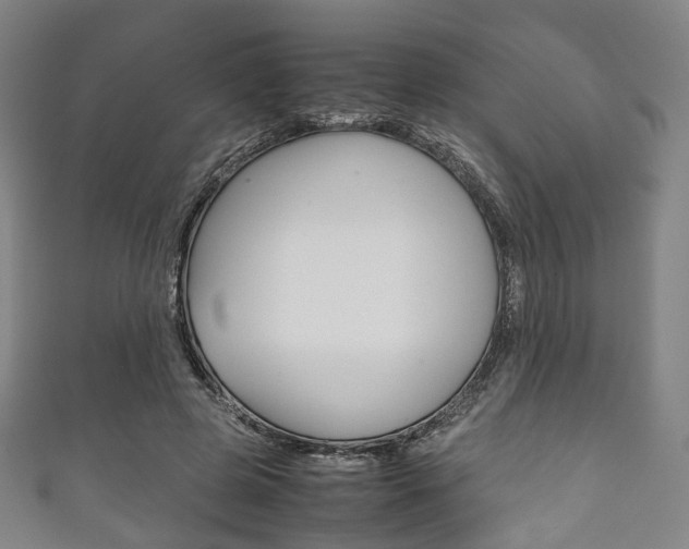 X0000111860545200907231133