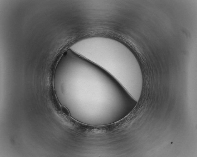 X0000111860546200907231133