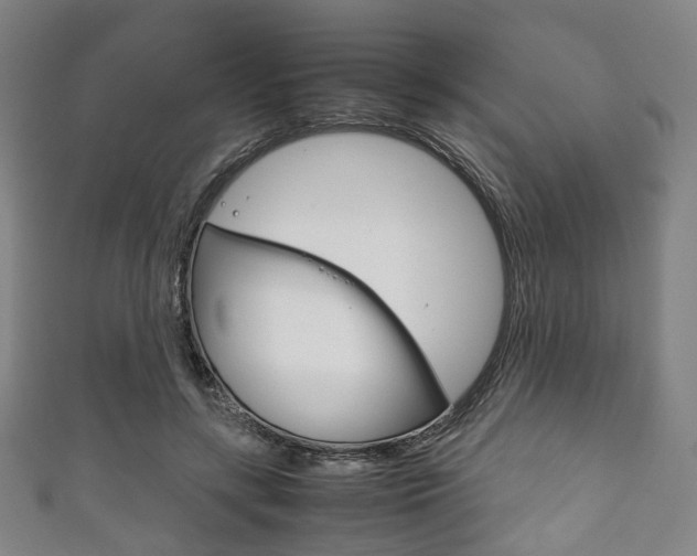 X0000111860547200907231133