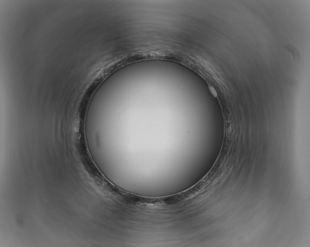 X0000111860548200907231133
