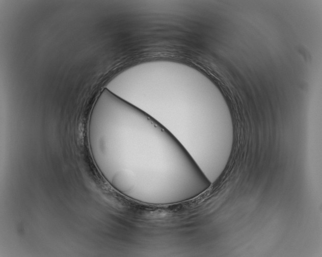 X0000111860551200907231133