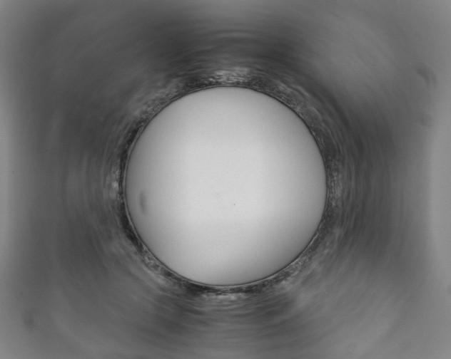 X0000111860553200907231133