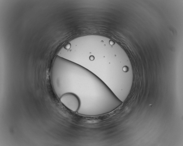 X0000111860555200907231133