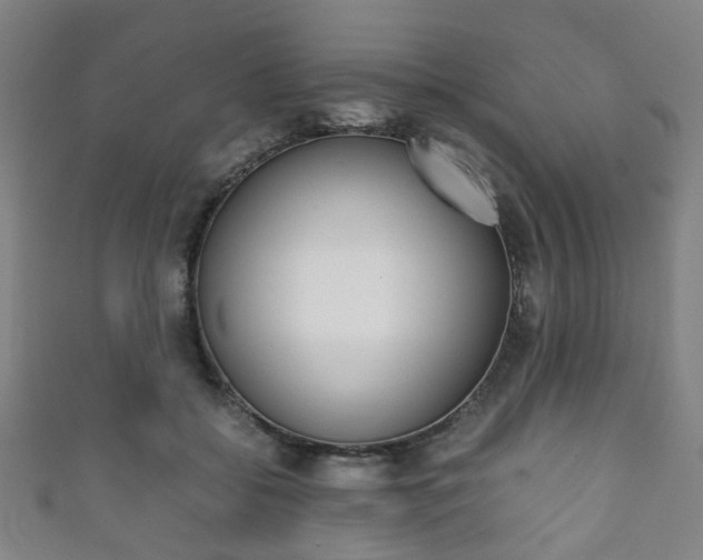 X0000111860556200907231133