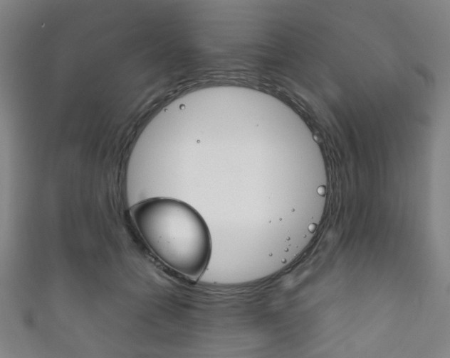 X0000111860558200907231133