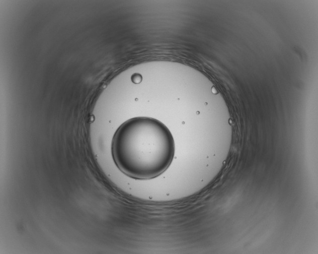 X0000111860560200907231133
