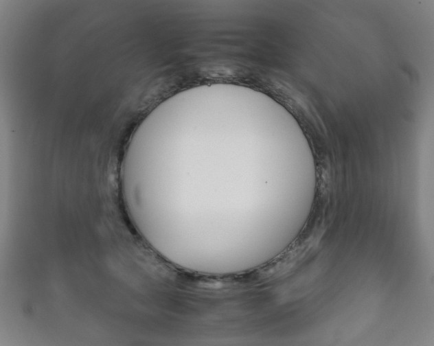 X0000111860561200907231133